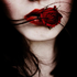 Avatar for moox3