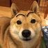 Dalescottt 的头像