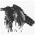 Avatar di flockofsoul