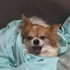 sharmkn 的头像