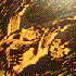 Avatar for ClockInReverse