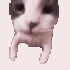Avatar di Cpnmatrix