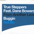 Avatar di True Steppers Feat. Dane Bowers