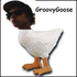 GroovyGoose için avatar