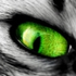 Avatar for Serge_107