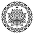 Аватар для MaximCrow