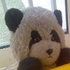 CarpeDiemIsrael 的头像