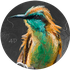 Avatar for Rain4D