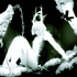 Avatar for mold_shroud73