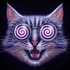 Avatar for CrazyRoad