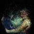 Iced_Beast için avatar