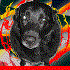 Avatar for shydog