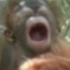 Avatar for TP580