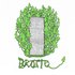 Brotto 的头像