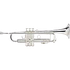 Avatar for Syrupsandwich