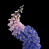 Avatar for hakskk