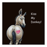 Avatar de kissmydonkeyfm