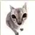 Avatar for Achinkurure