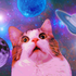 Iwnt2baFUZZYCAT 的头像