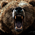 Avatar for bearzilla666