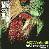 Avatar für Enzo124