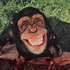 Avatar for phon