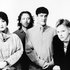 New Order 的头像