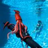 squidfiste さんのアバター