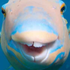 Avatar di ComputerChip16