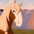 Avatar di EquusStorm