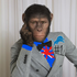 Awatar dla VirginChimp