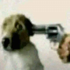 Avatar for SoneZzz