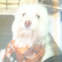 Avatar for Apples_0165