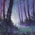 Avatar for wildwood_