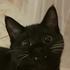 Avatar di lispowylewie
