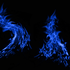 Avatar for Tigris83