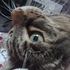 Avatar di lucyyyyy_