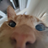Avatar de Eris27