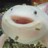 Modlizard 的头像