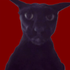 Avatar for MohamedFSanchez