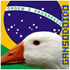 wackygoose さんのアバター
