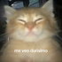 Avatar for textoapocrifo