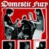 Awatar dla Domestic fury