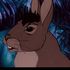 Avatar for FORGETMEHOUND