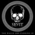 Avatar for sevit