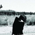 Avatar for trajd63