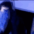 Avatar för Icaruss_