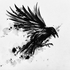 Avatar for IIT_lunae