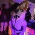 Avatar for MAILPUP