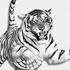 Avatar di chmds